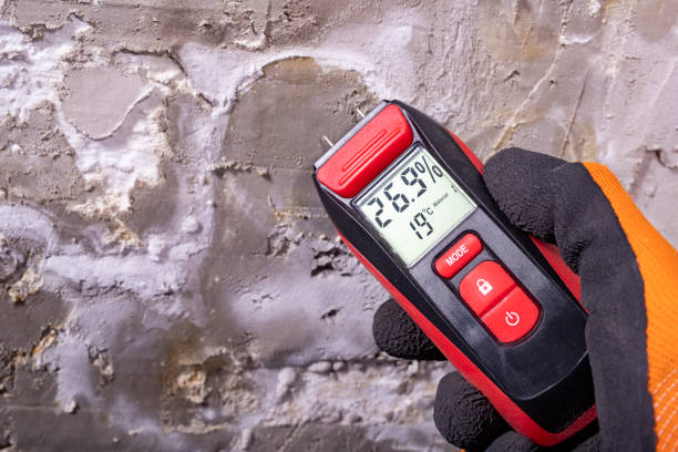 Best Basement Mold Remediation in Wayne, OH